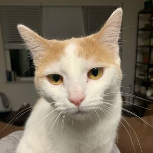 Meet your Posher, Katelynn